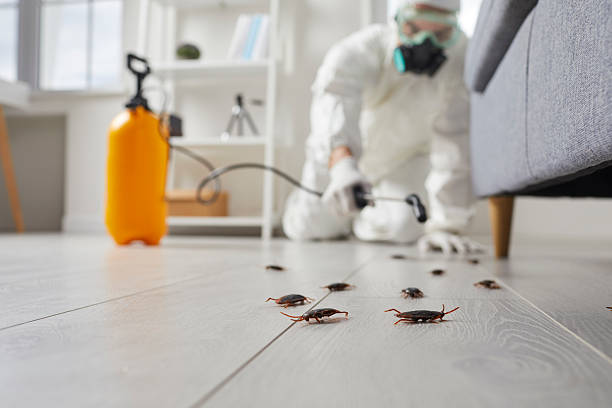 Post-Treatment Bed Bug Interceptor Monitoring in Catoosa